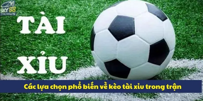 Kèo tài xỉu - Bí quyết soi kèo hiệu quả từ chuyên gia Các lựa chọn phổ biến về kèo tài xỉu trong trận