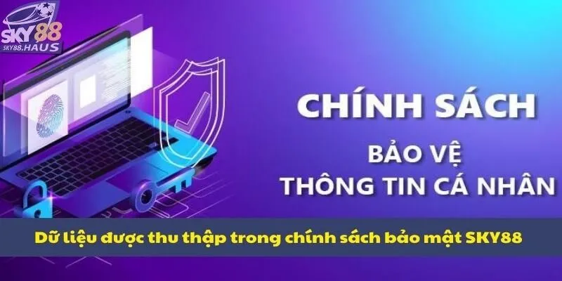 Dữ liệu được thu thập trong chính sách bảo mật SKY88