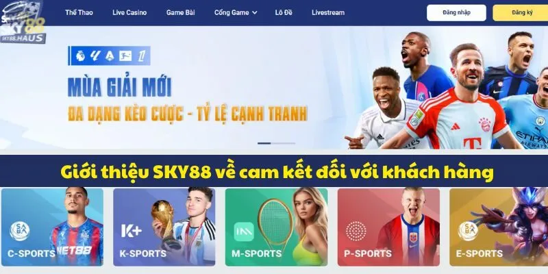 Giới thiệu SKY88 về cam kết đối với khách hàng