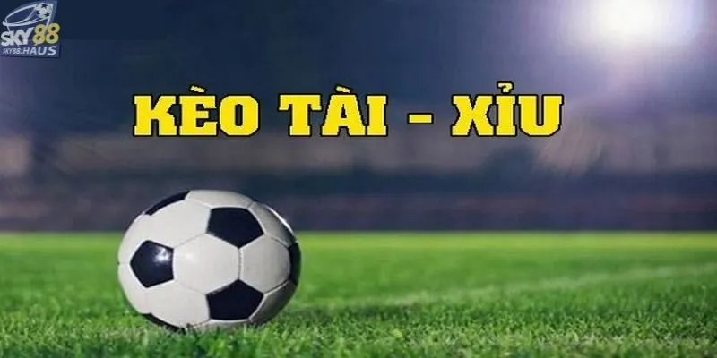 Kèo tài xỉu - Bí quyết soi kèo hiệu quả từ chuyên gia Lưu ý cần nhớ khi thực hiện soi kèo tài xỉu