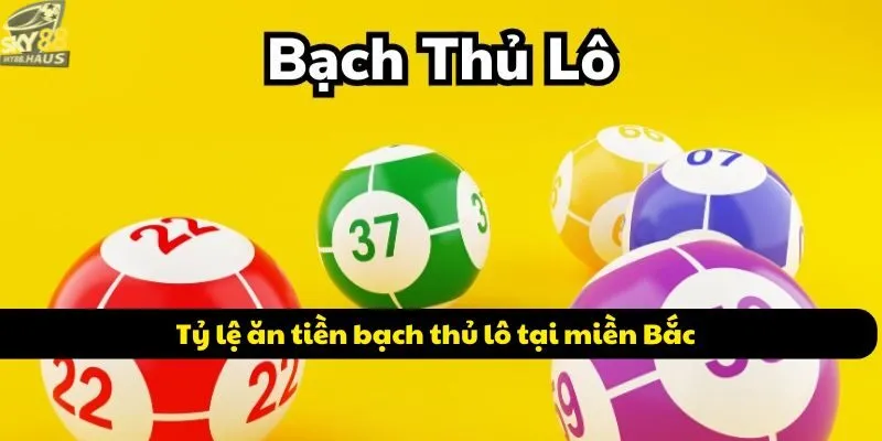 Tỷ lệ ăn tiền bạch thủ lô tại miền Bắc